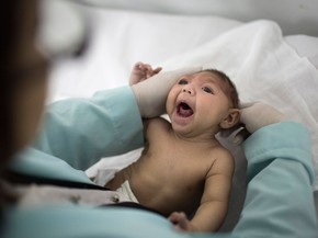 Zika Pode Lesar o Cérebro De Bebês Mesmo No Fim Da Gestação