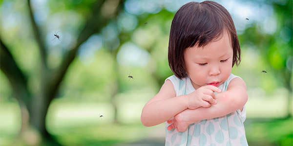 Um Novo Jeito De Proteger As Crianças Dos Mosquitos